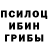 Псилоцибиновые грибы прущие грибы Aibek Shakur
