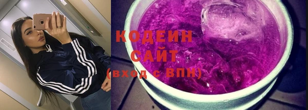 индика Михайлов