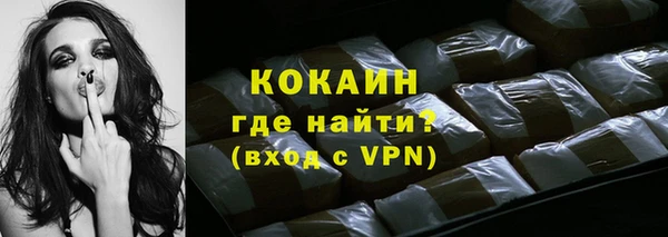 индика Михайлов