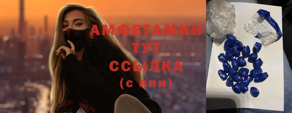 индика Михайлов