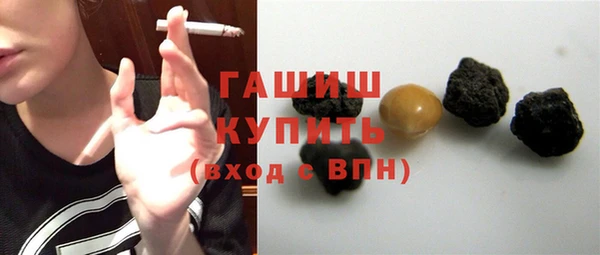 индика Михайлов
