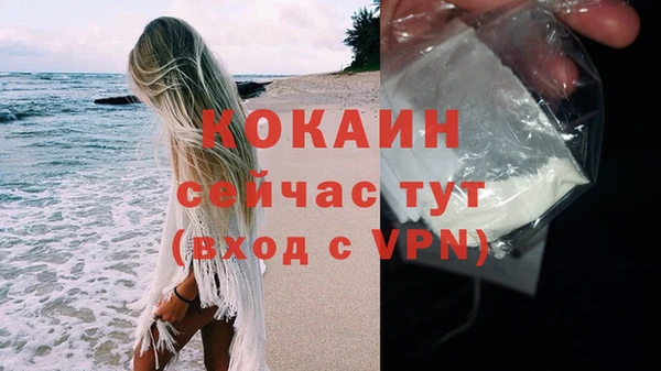 гидра Михайловск