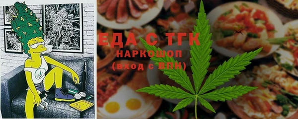 индика Михайлов