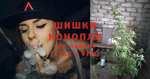 индика Михайлов