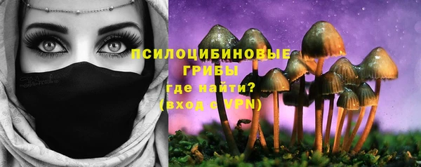 винт Михайловка