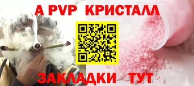 стаф Гатчина
