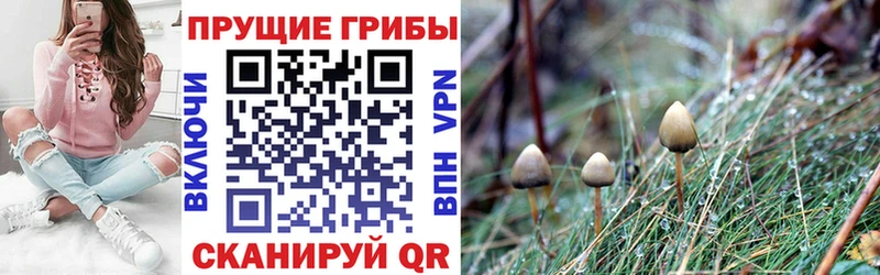 Галлюциногенные грибы Magic Shrooms  что такое наркотик  Дивногорск 