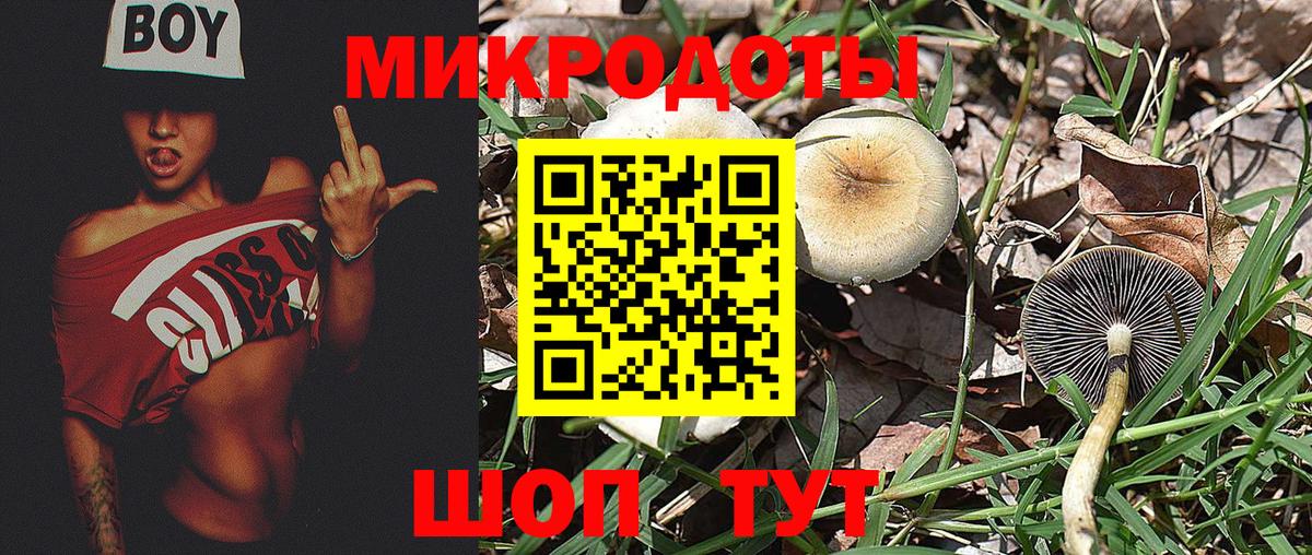 Псилоцибиновые грибы мицелий  Вход с VPN  Дивногорск  Галлюциногенные грибы Psilocybine cubensis 