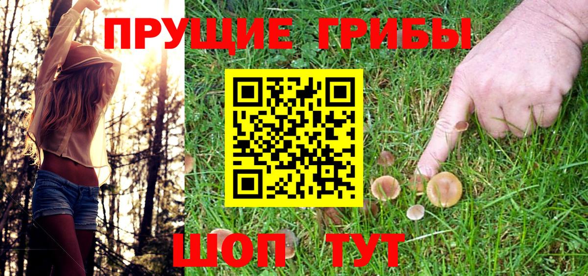 Псилоцибиновые грибы прущие грибы  Дивногорск 