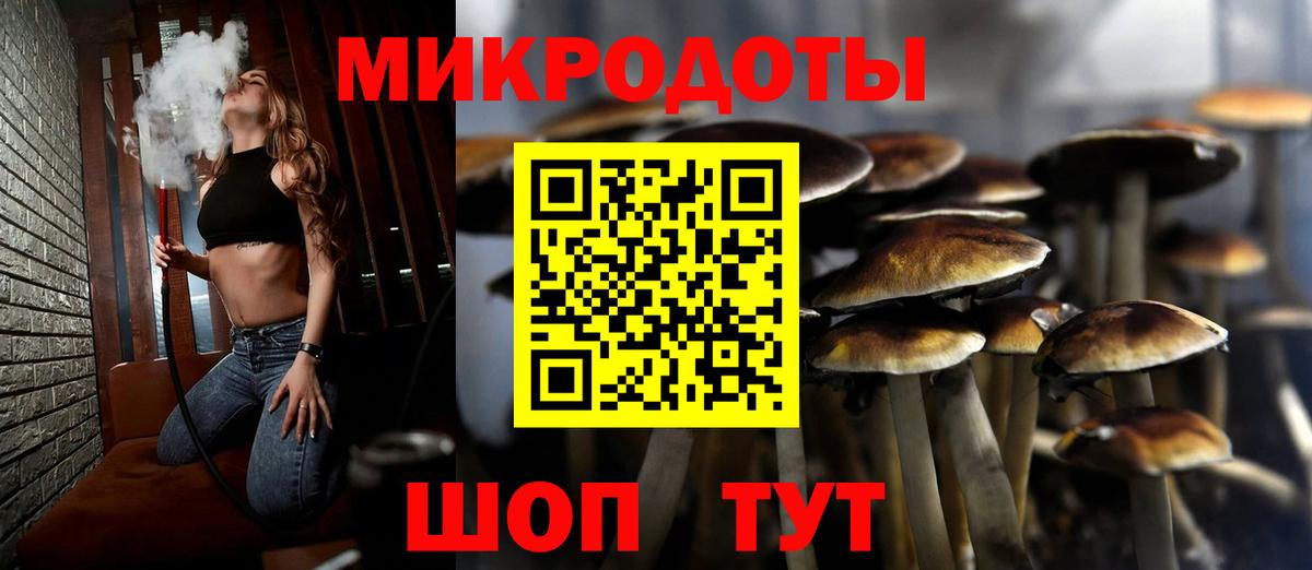 Псилоцибиновые грибы Psilocybine cubensis Дивногорск